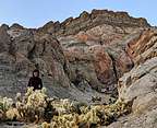 Lolo amongst the Cholla